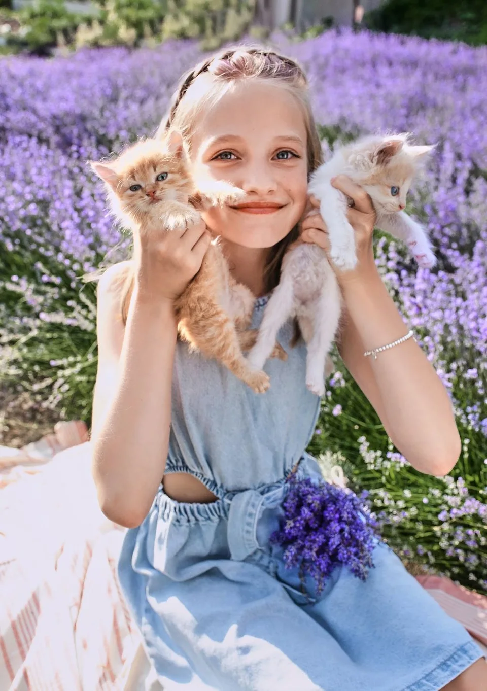 Two adorable kittens being held up in a lavender garden setting.