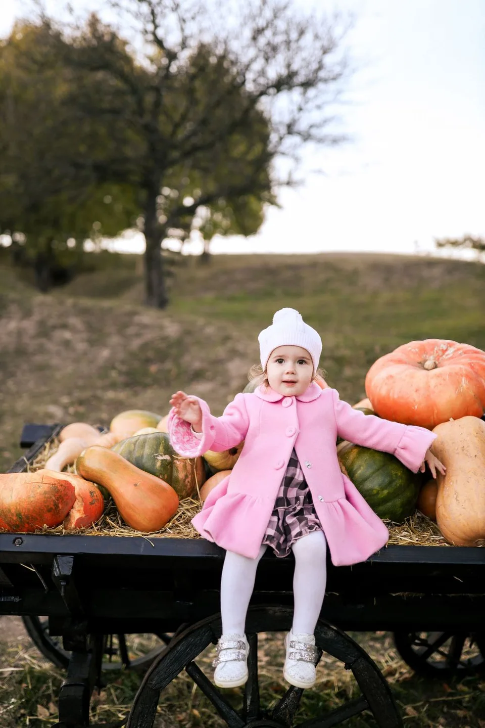 Small child in pink coat sitting on wagon with large pumpkins in autumn setting.
