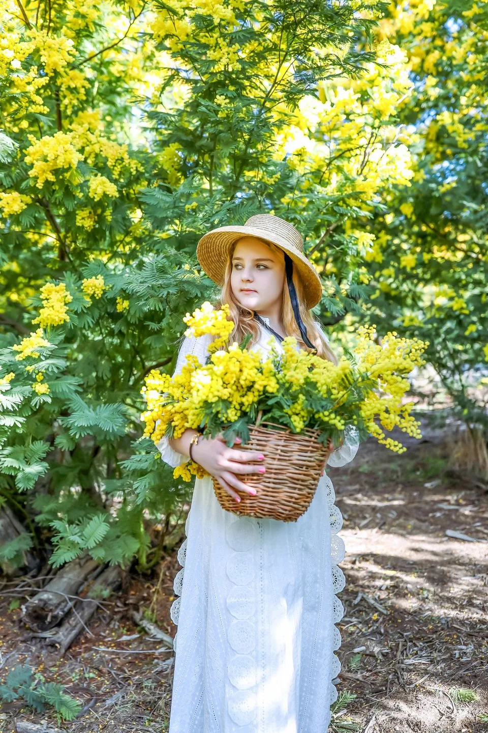 A person in a white dress holds a basket of bright yellow mimosa flowers in a sunny garden setting.