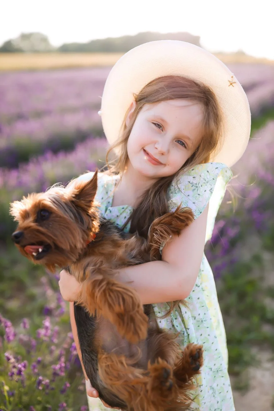 Young person in floral dress holding Yorkshire terrier dog in lavender field.