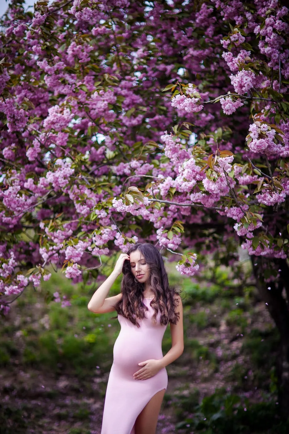 A romantic spring maternity photo under blooming pink cherry blossoms in a garden.