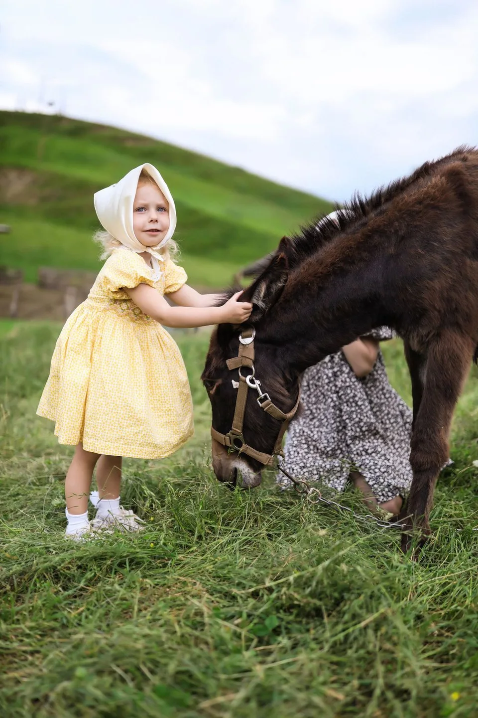 Small person in yellow dress pets brown pony on grassy hillside.