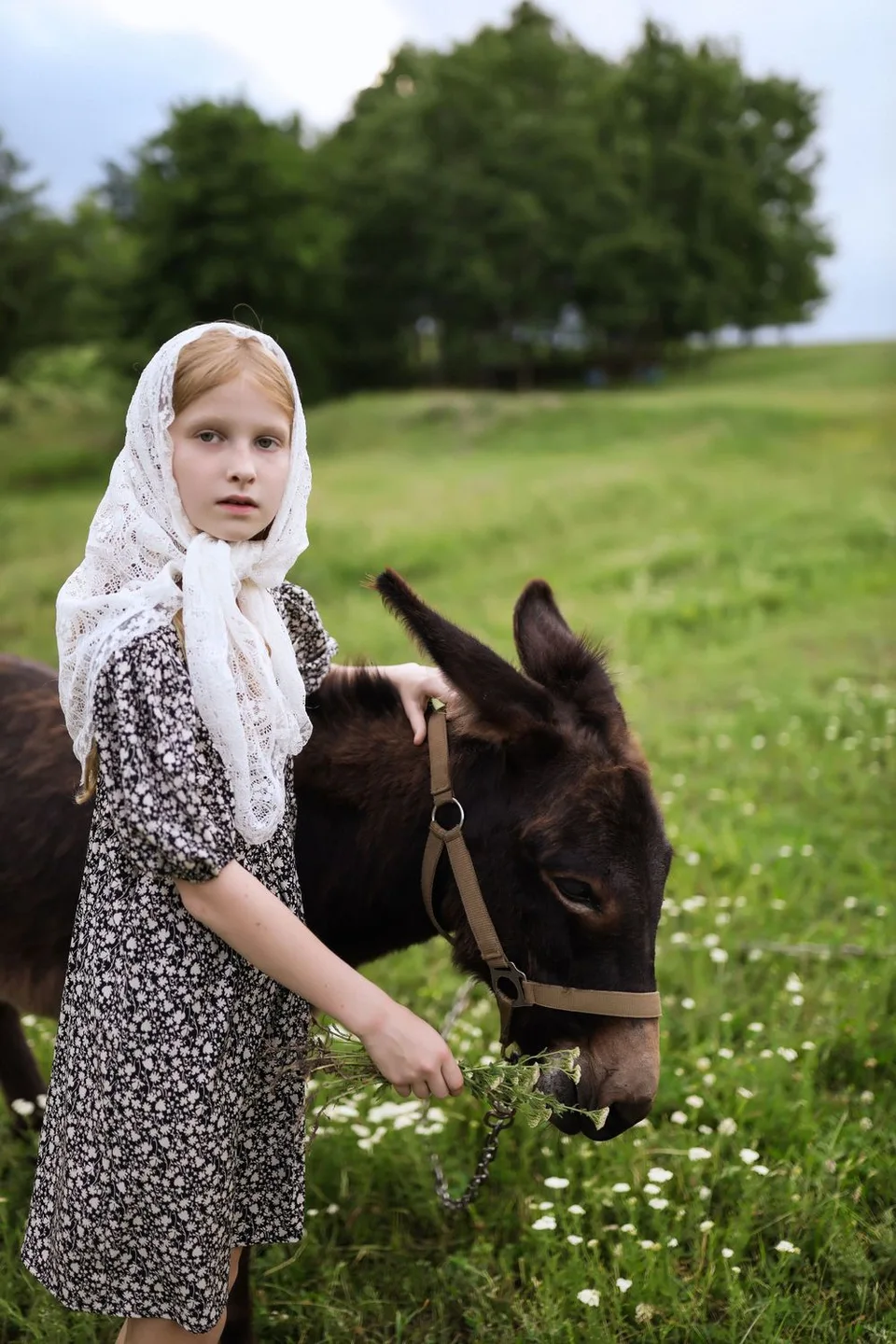 Young person in vintage dress and headscarf pets donkey in flowery meadow.