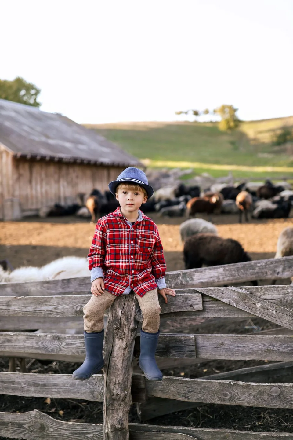 Child in plaid shirt and hat sitting on wooden fence at ranch with cattle in background.