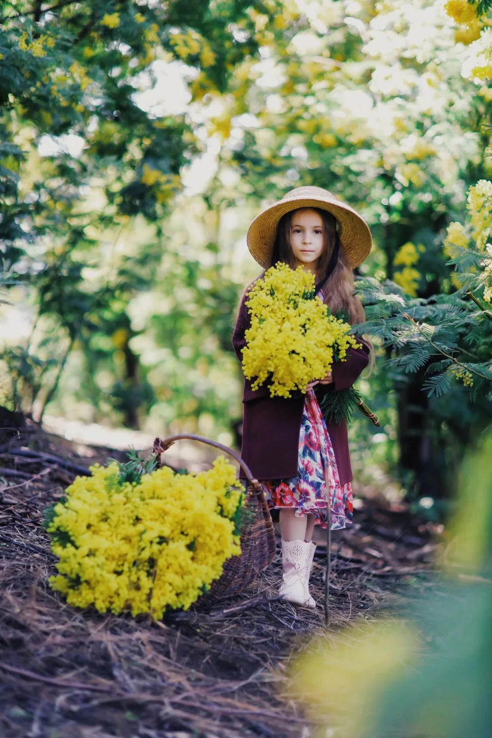 A figure in a sun hat holds bright yellow wattle flowers in a lush garden setting.