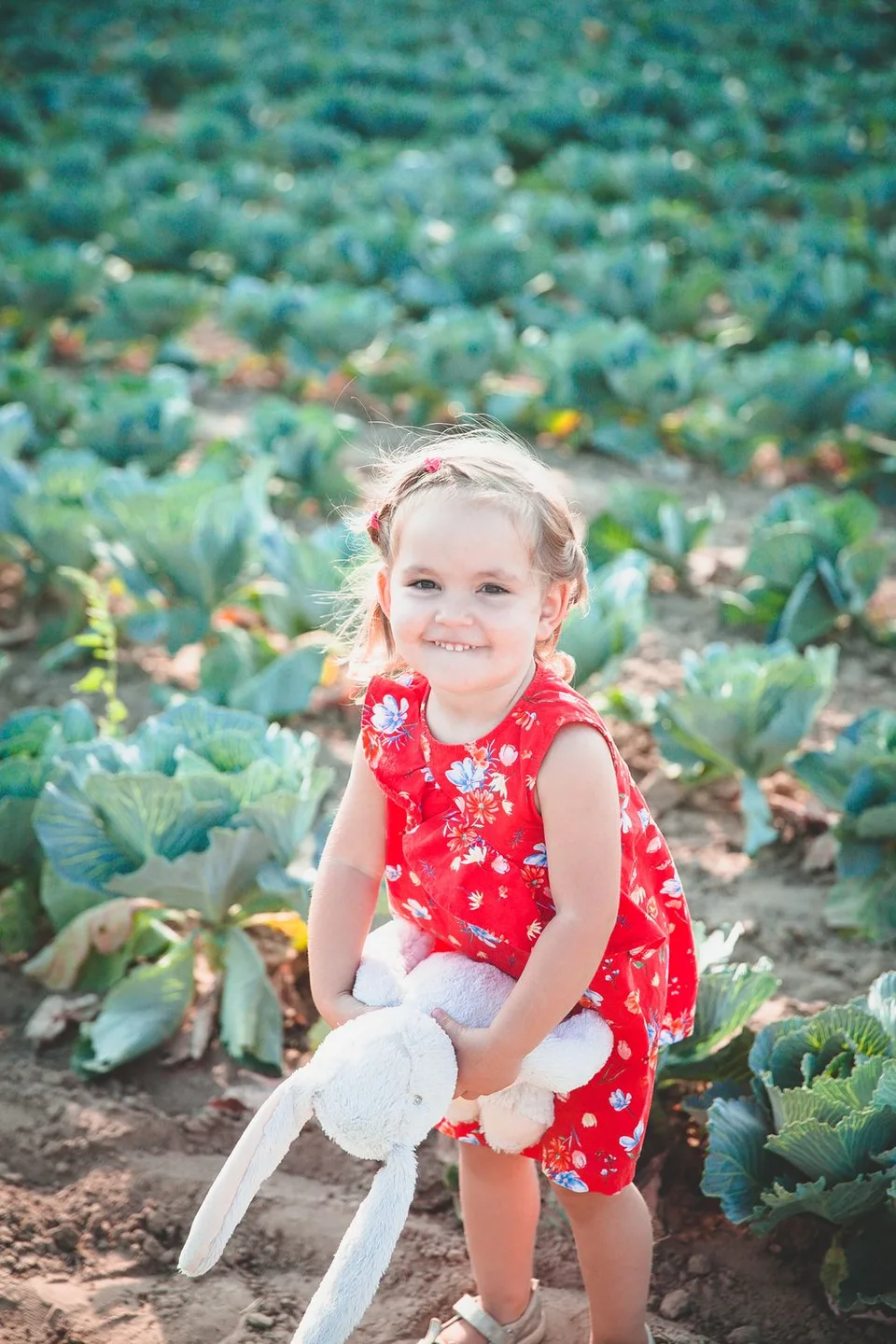 A playful scene in a cabbage patch with a red floral dress and stuffed bunny toy.