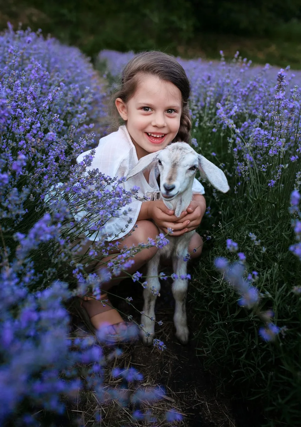 A sweet moment with a baby goat amid blooming purple flowers in a garden setting.