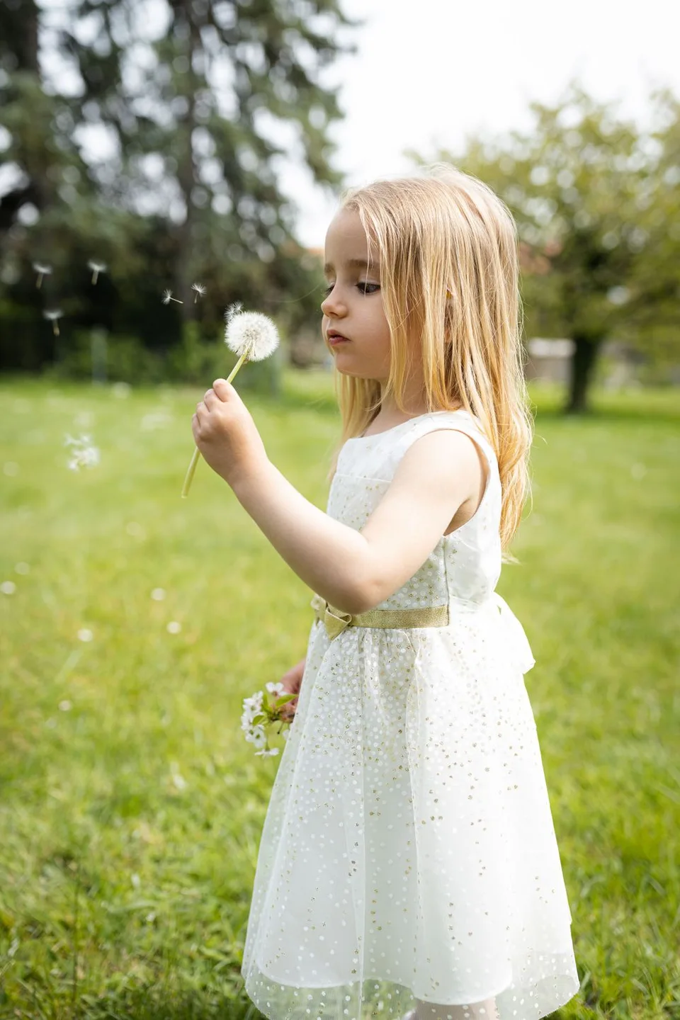 Small child in white dress blows on dandelion seeds in sunny garden setting.