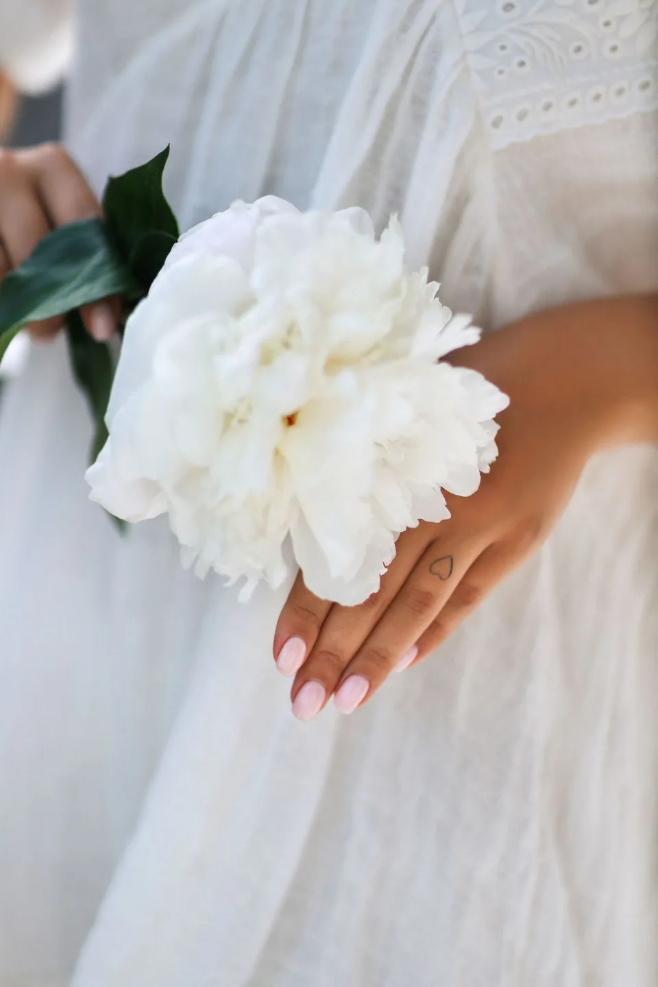 Close-up of hands holding a white peony against white fabric.