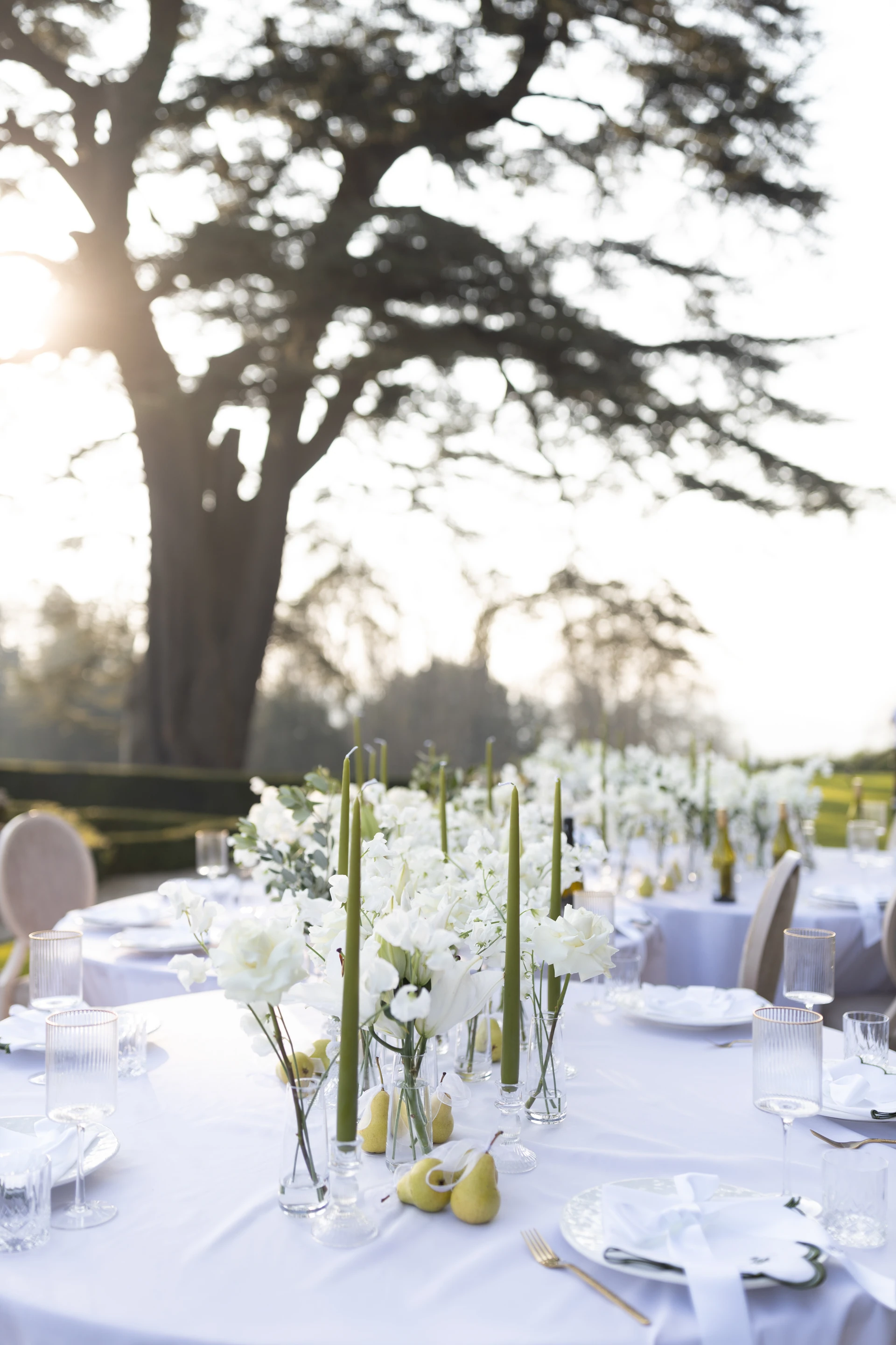 The celebration table in the evening light